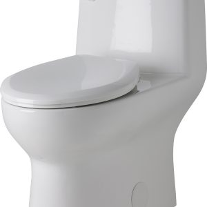 Toilette Avalanche monopièce