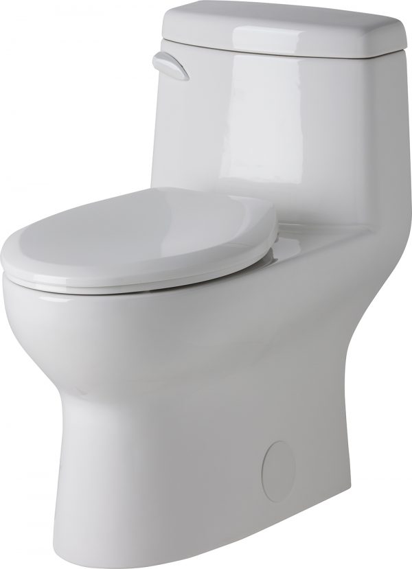 Toilette Avalanche monopièce